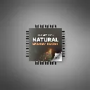 Natural Energy Boost - Prompts3.webp